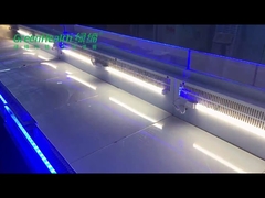 Commercial Stainless Steel R404a Supermarket Island Freezer