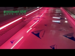 Het Roestvrije staal van de de Vertoningsdiepvriezer van het supermarkt Verse Vlees voor Restaurant