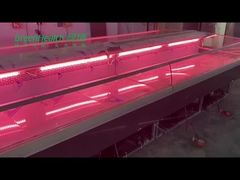 Ijskast van het de Delicatessenwinkelvlees van roestvrij staalvissen de Verse voor Slager Shop