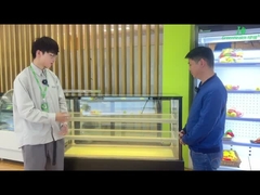 Glas Front Open Cake Display Freezer Zelf - bevat