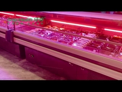 De commerciële van het de Terugkeerbezoek van de Ijskastvertoning Vertoning van het het Gebruiksscenario