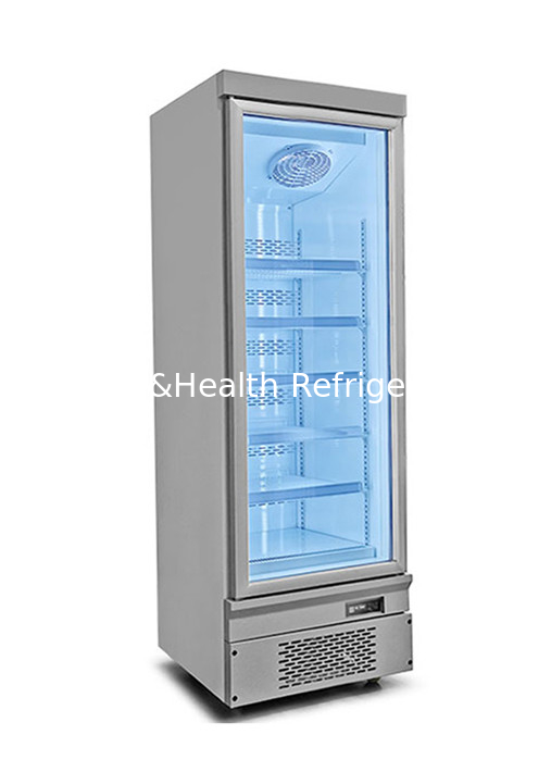 110 V Commerciële Rechtopstaande Vriezer Zeevruchten Ijs Bevroren Kip Product Display Vriezer