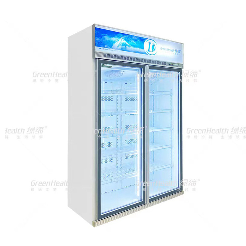 Variabele frequentie commerciële rechtop 2 deuren display vriezer met ventilator koeling en LED