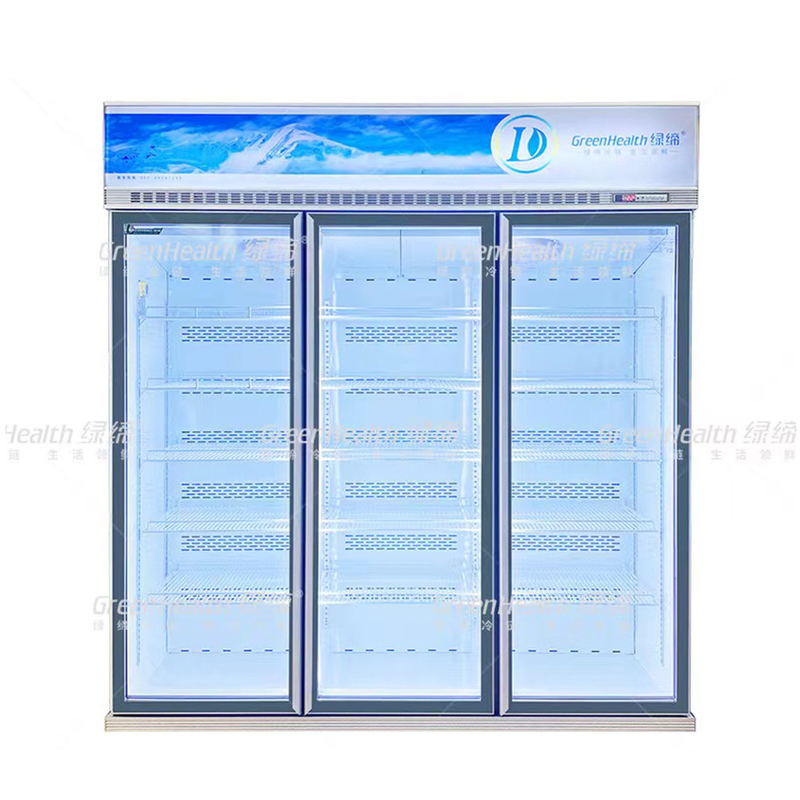 Variabele frequentie commerciële rechtop 2 deuren display vriezer met ventilator koeling en LED