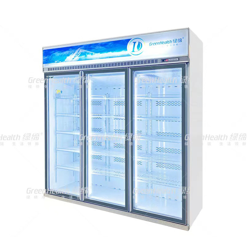 Variabele frequentie commerciële rechtop 2 deuren display vriezer met ventilator koeling en LED