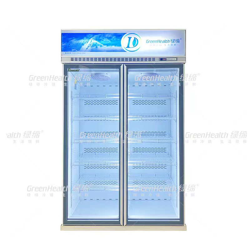 Variabele frequentie commerciële rechtop 2 deuren display vriezer met ventilator koeling en LED