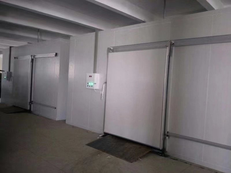 Gecustomiseerde koelruimte voor het bevriezen van vis en vlees met automatisch besturingssysteem