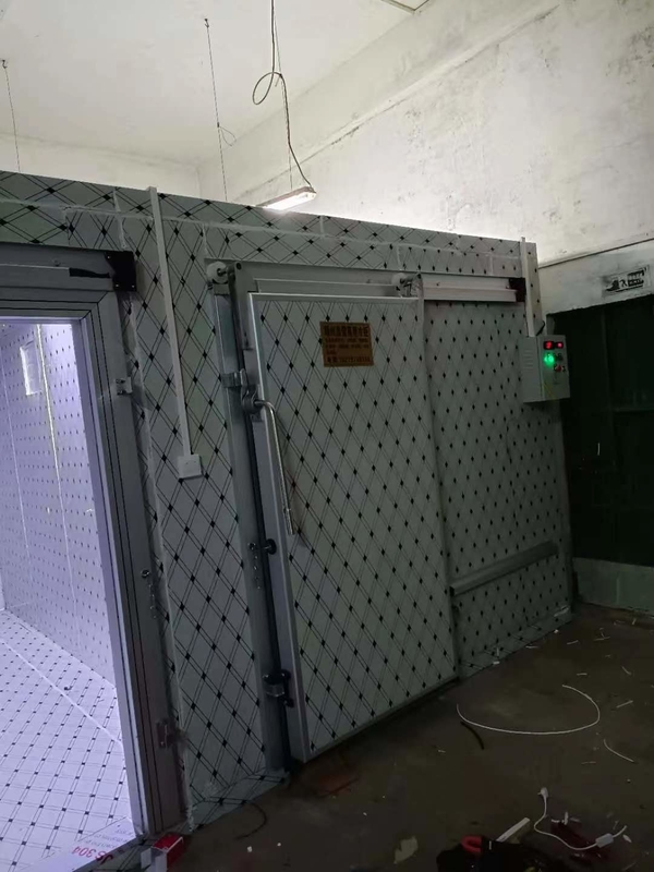 Gecustomiseerde koelruimte voor het bevriezen van vis en vlees met automatisch besturingssysteem
