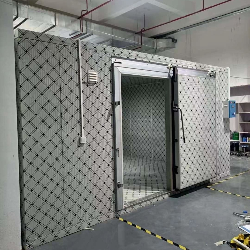 Gecustomiseerde koelruimte voor het bevriezen van vis en vlees met automatisch besturingssysteem