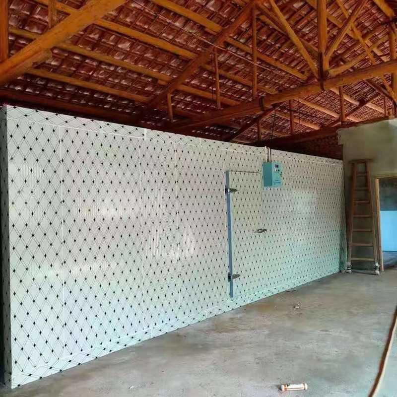 PU-panelen koelcel Walk-In vriezer modulaire koelcellen met verschillende temperaturen