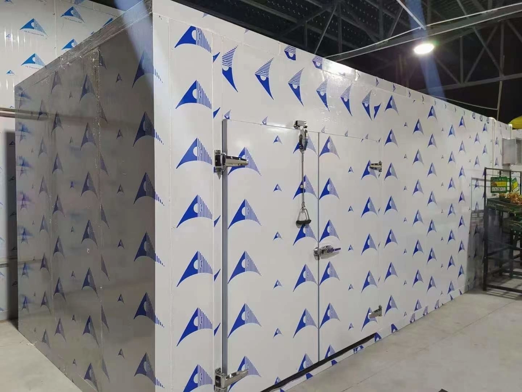 PU-panelen koelcel Walk-In vriezer modulaire koelcellen met verschillende temperaturen