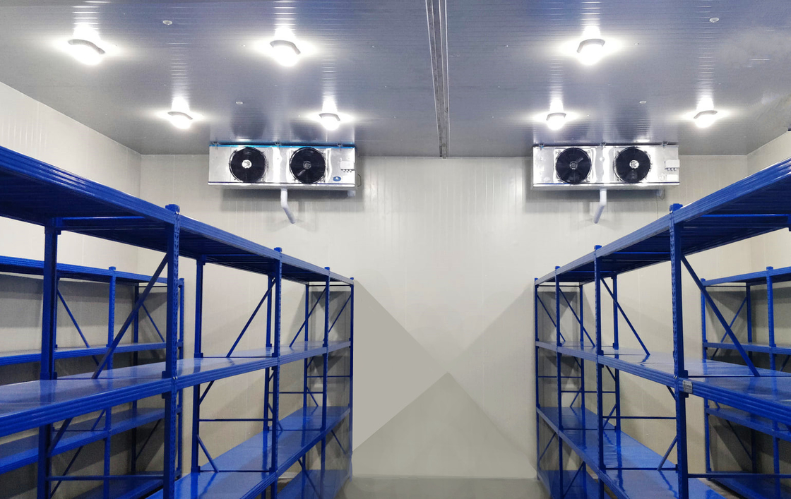 PU-panelen koelcel Walk-In vriezer modulaire koelcellen met verschillende temperaturen