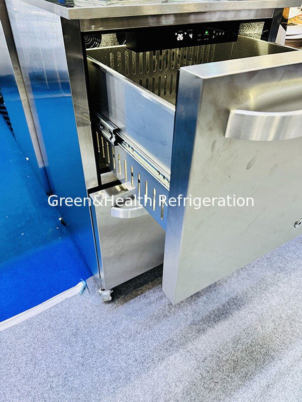 ETL-certificaat 150L 168 blikken roestvrij staal vaste deur buitenkoelkast voor dranken