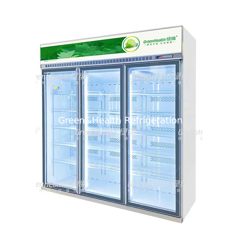 Geavanceerde op maat gemaakte supermarkt 5 lagen koeler met ventilator koeling en Cubigel compressor unit
