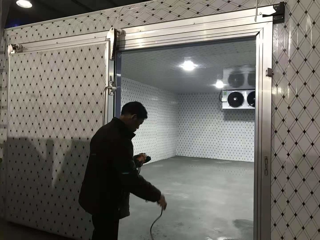Digitale elektronische temperatuurregeling Koelruimte voor groenten Fruit Vlees en vis Aanpasbaar
