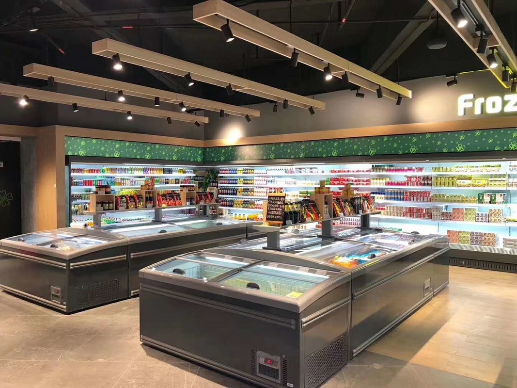 Direct koelsysteem Commerciële display vriezer met een temperatuur van -18-22°C en een volume van 630L