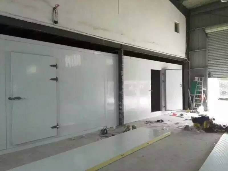 High-Performance Polyurethane PU Sandwich Panels voor koelkamers