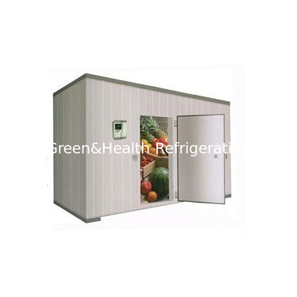 Automatische elektrische ontdooiing koelkas voor de opslag van grote groenten / fruit