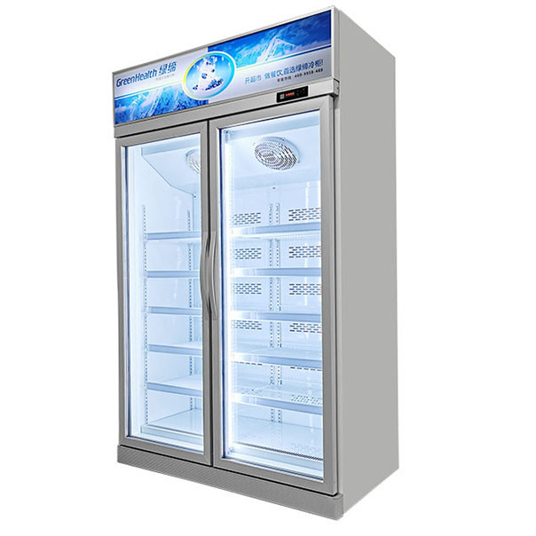 Commerciële laagtemperatuur bevroren opslag vriezer voor de bovenste eenheid te koop