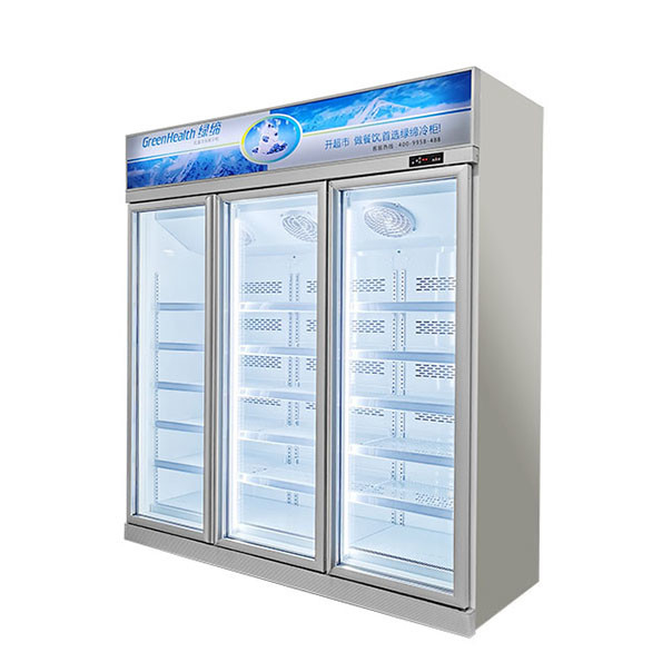 Commerciële laagtemperatuur bevroren opslag vriezer voor de bovenste eenheid te koop