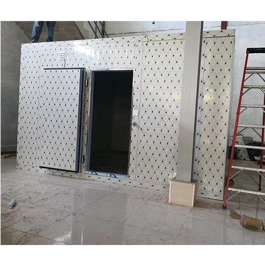 PU-panelen koelcel Walk-In vriezer modulaire koelcellen met verschillende temperaturen