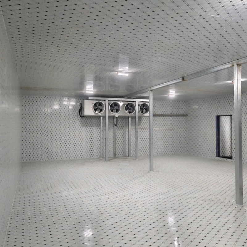 Compressor koelsysteem Koelruimte Koelruimte Invriezer Met vloerpaneel
