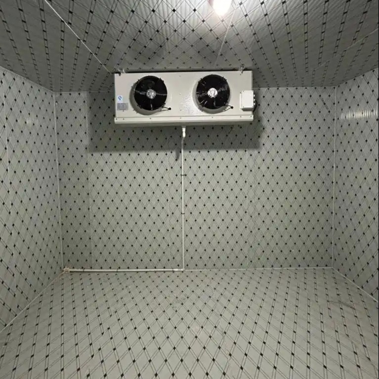 Commerciële Walk In Cold Room Freezer PU Geïsoleerd Paneel Schommeldeur Snel Installeren Zeevruchten