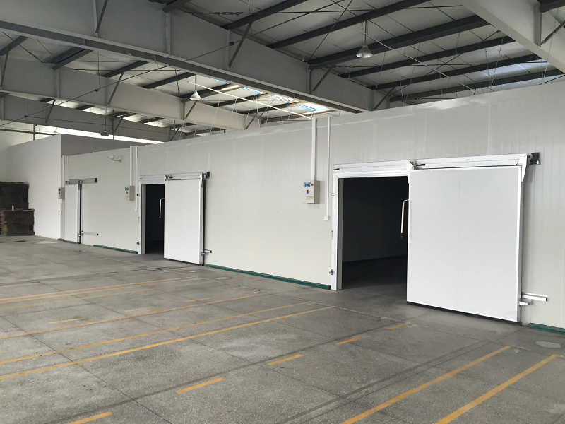20ft Goed Prijs Sandwich Panel Wandelen In Vrieskas Koelhuis Koelruimte