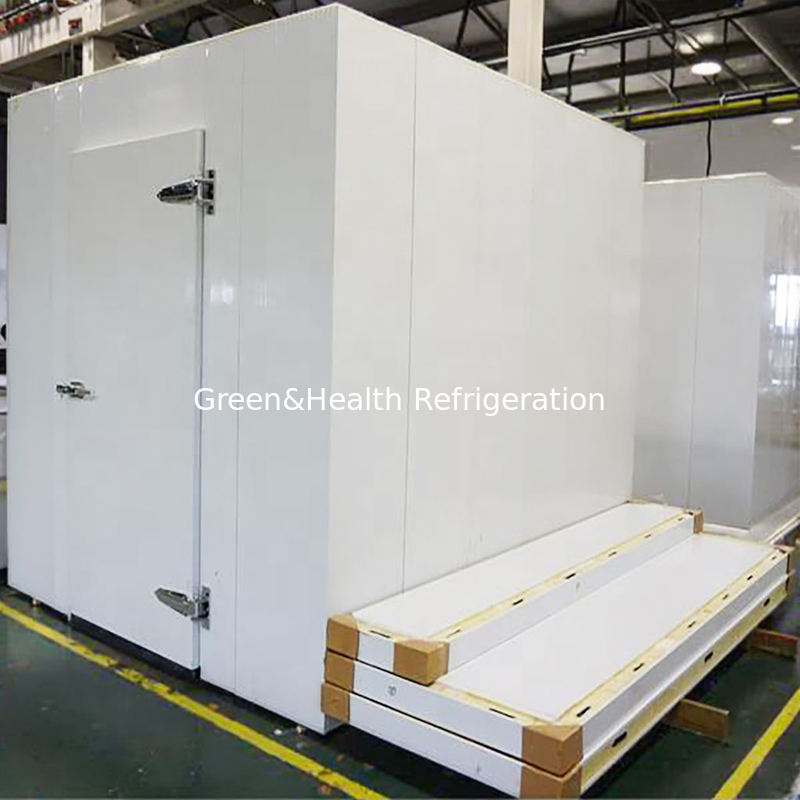 Guangzhou Op Maat Gemaakte Walk-in Freezer Koude Opslag Unit Voor Slagerij Vleesverwerking