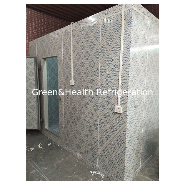 Fabrieksmatige installatie van lage-temperatuur opslag grote koelopslag koude ruimte