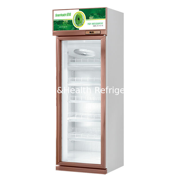 Eengeduren Champagne Kleur Luxe Drank Verkoelde Display Freezer