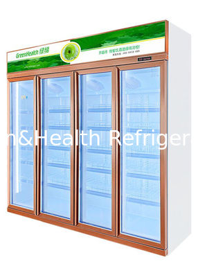 R290 ontdooit de Commerciële Drank Koelere Auto de Ijskast Champagne van de Drankenvertoning