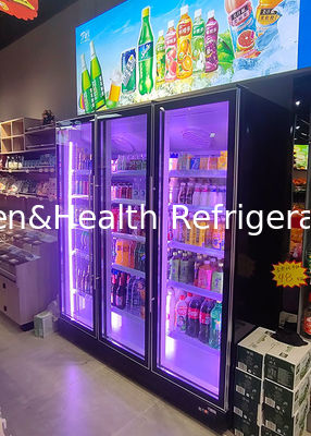 Commerciële verticale bierescherm koeler Dubbele deur Drinks koelkast