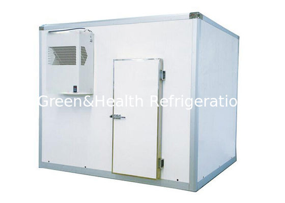 Commerciële supermarkt Koelkamer Zeevruchten / rundvlees Bevroren WalK In Chiller