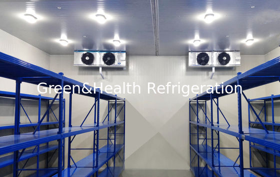 PU-panelen koelcel Walk-In vriezer modulaire koelcellen met verschillende temperaturen