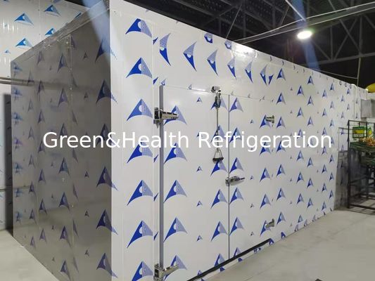 Energiezuinige koelruimte met hoogwaardige PU-panelen