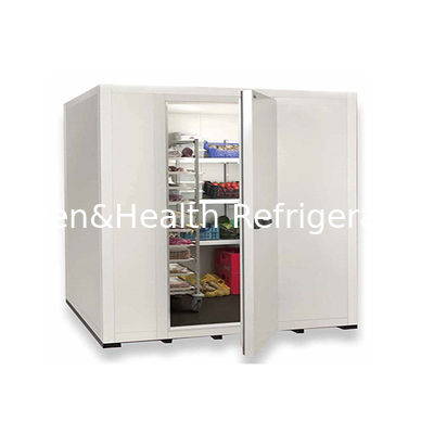 Automatische elektrische ontdooiing koelkas voor de opslag van grote groenten / fruit