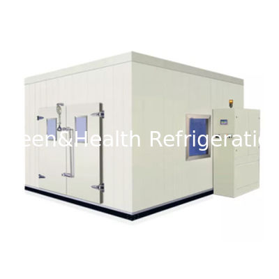 Compressor koelsysteem Koelruimte Koelruimte Invriezer Met vloerpaneel