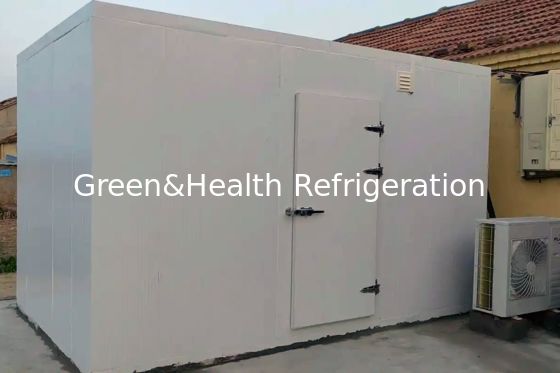 PU isolatiepaneel en luchtkoeler verdamper visopslag vriezer voor uw zakelijke behoeften