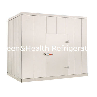 220V / 380V commerciële Gang in Koelere Zaal voor Plantaardige Vleeszeevruchten