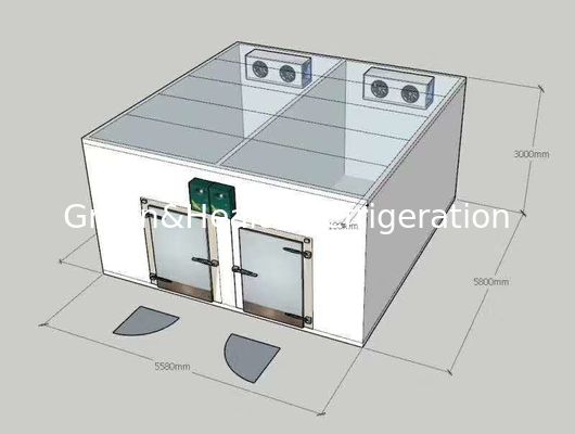 Gang in Koelers van Combo van de Diepvriezer de Dubbele Temperatuur/koude ruimte